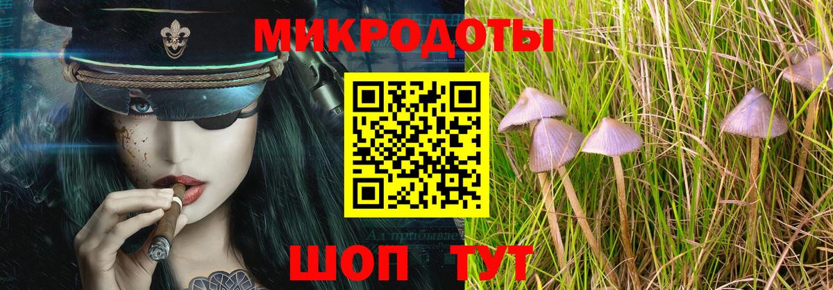 Галлюциногенные грибы Magic Shrooms  Вход с VPN  Каменск-Шахтинский 