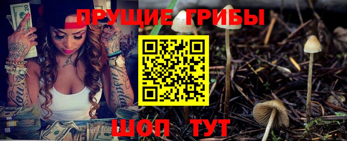 Псилоцибиновые грибы мицелий Каменск-Шахтинский